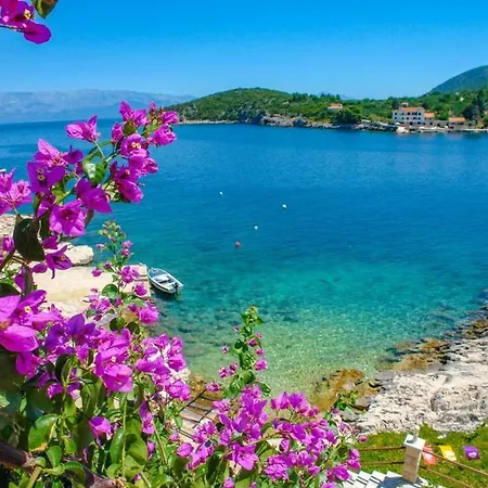 Appartement Lavender *